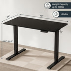 FLEXISPOT Electric Standing Desk With Whole-Piece Desktop - EN1