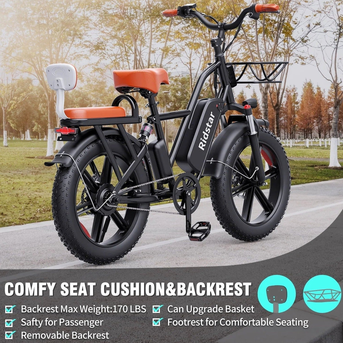 Electric Adult E-Bike 750W 48V 15AH 20in x 4.0 Fat Tire 2 Seater - UL2849