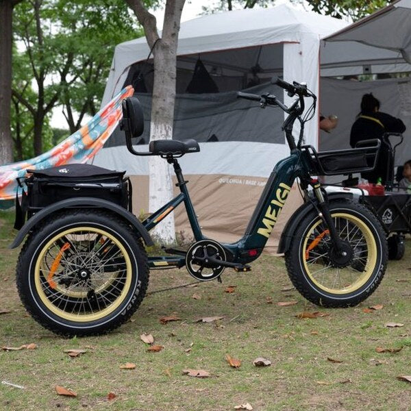 DWMEIGI Silverado 20 Foldable Fat Tire Electric Trike 48V/14AH 750W, 330LBS - MG2301
