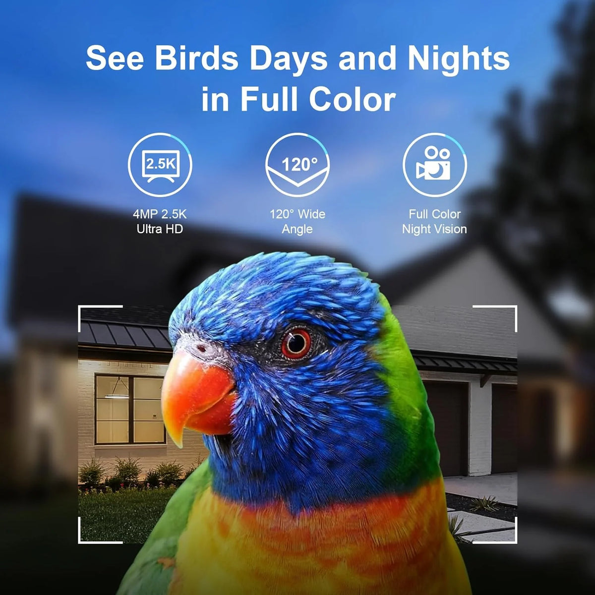Treebirdy Smart Bird Feeder Camera, 4MP 2.5K HD, 64GB TF Card, Solar Powered