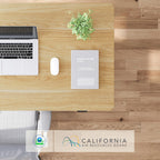 FLEXISPOT Electric Standing Desk With Whole-Piece Desktop - EN1