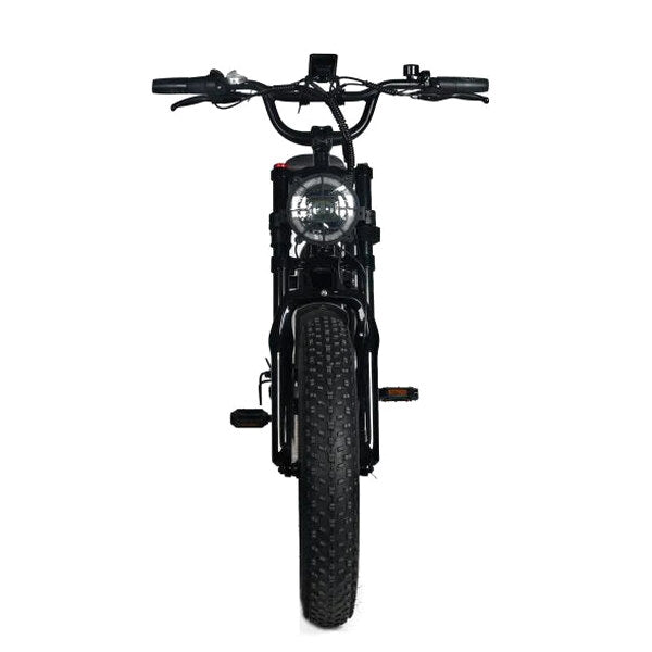 Electric Mountain Bike For Adults, 20 x 4.0 Fat Tires, 1000W Motor, 48V 20Ah Battery, Black - G-M1Sp