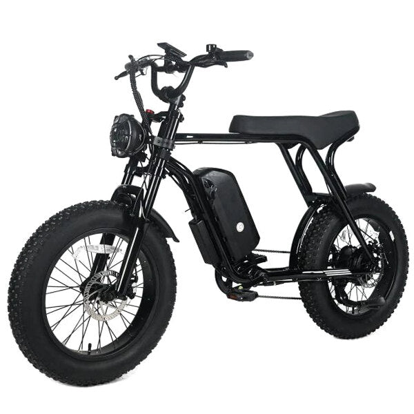 Electric Mountain Bike For Adults, 20 x 4.0 Fat Tires, 1000W Motor, 48V 20Ah Battery, Black - G-M1Sp