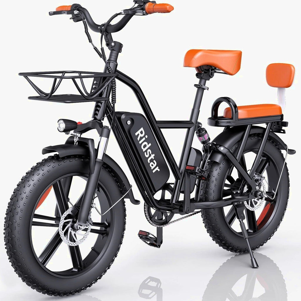 Electric Adult E-Bike 750W 48V 15AH 20in x 4.0 Fat Tire 2 Seater - UL2849