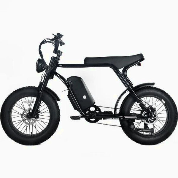 Electric Mountain Bike For Adults, 20 x 4.0 Fat Tires, 1000W Motor, 48V 20Ah Battery, Black - G-M1Sp