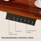 FLEXISPOT Electric Standing Desk With Whole-Piece Desktop - EN1