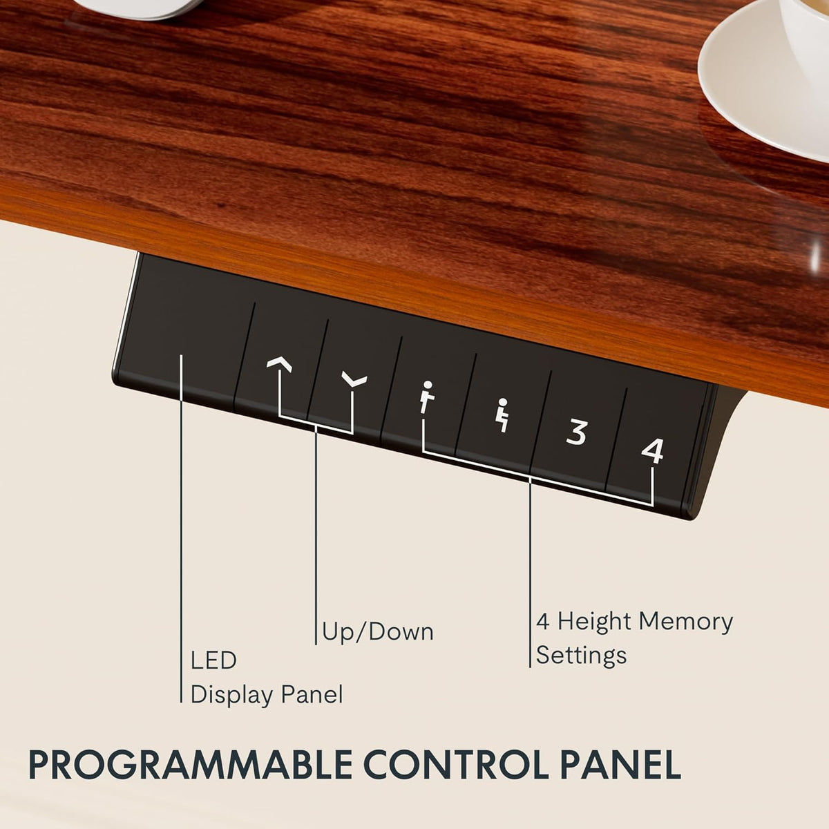 FLEXISPOT Electric Standing Desk With Whole-Piece Desktop - EN1