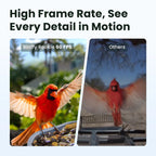 Birdfy Smart Bird Feeder With Camera, 1080P HD Video, 60FPS - Rookie