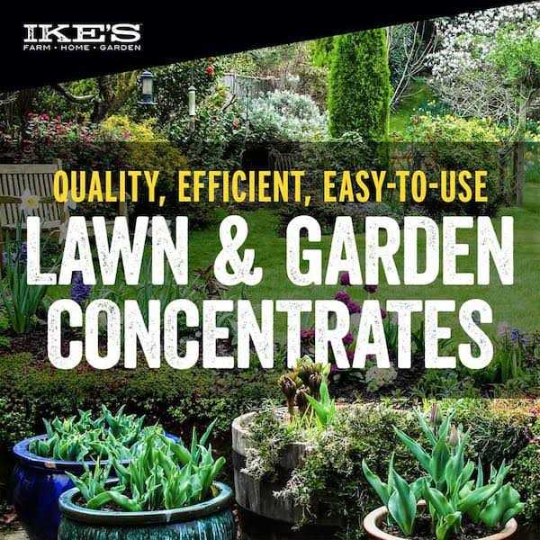 Ike's Sandbur And Crabgrass Preventer