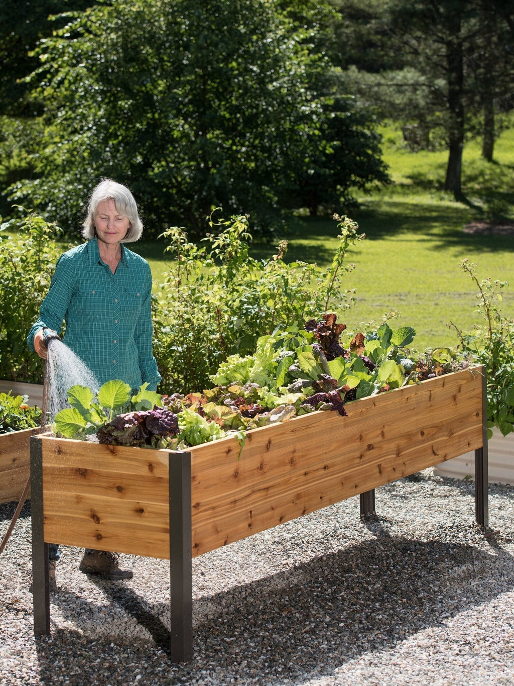 Self-Watering Eco-Stained Elevated Planter Box, Lakeside Cedar, 96 in x 24 in x 29 in