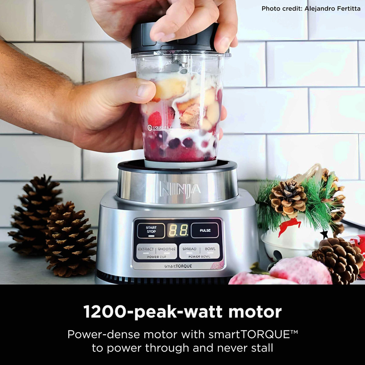 Ninja 24 Oz Single-Serve Blender, Silver - SS101
