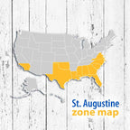 St. Augustine Sod Plugs, 36 Count / 500 Sq Ft