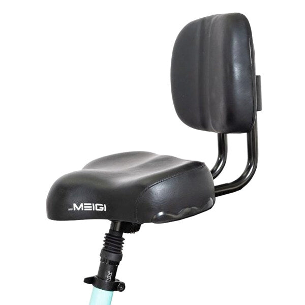DWMEIGI Silverado 20 Foldable Fat Tire Electric Trike 48V/14AH 750W, 330LBS - MG2301
