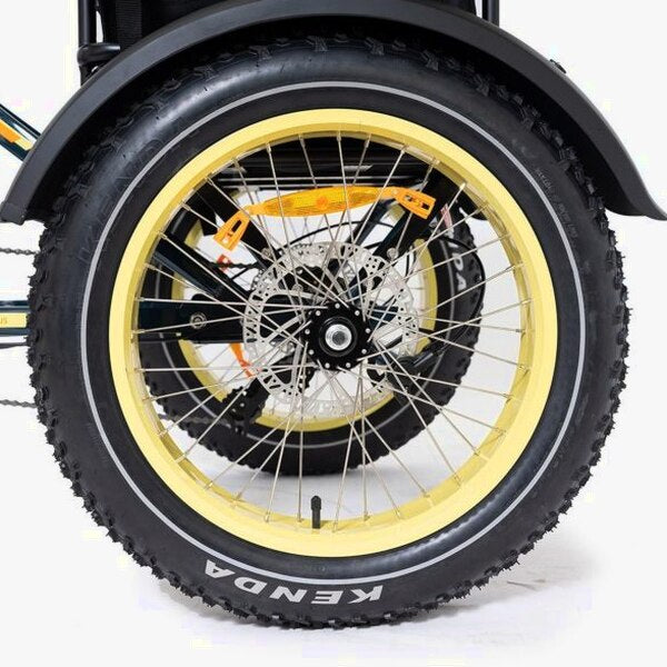 DWMEIGI Silverado 20 Foldable Fat Tire Electric Trike 48V/14AH 750W, 330LBS - MG2301
