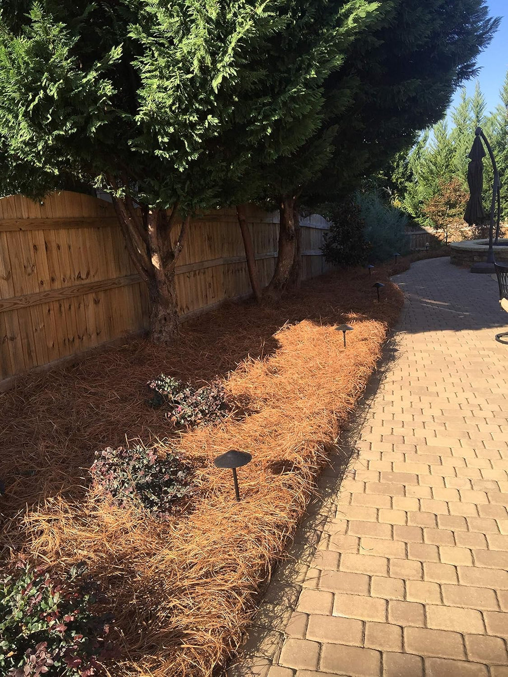 USA Pinestraw Long Needle Pine Straw Mulch, 2400 Sqft Coverage, 1 Set