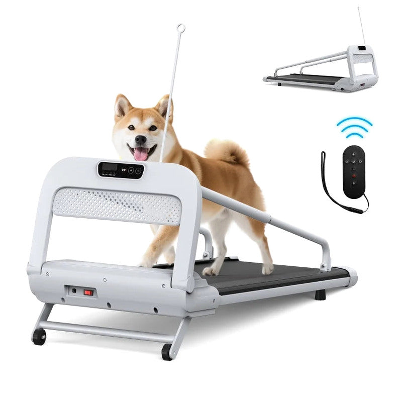Witaxima Pet Treadmill, 2.5HP, 41.34 x 15.75 in Running Surface, Off White