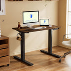 FLEXISPOT Electric Standing Desk With Whole-Piece Desktop - EN1