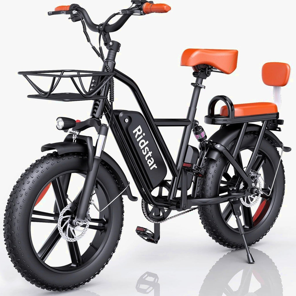 Electric Adult E-Bike 750W 48V 15AH 20in x 4.0 Fat Tire 2 Seater - UL2849