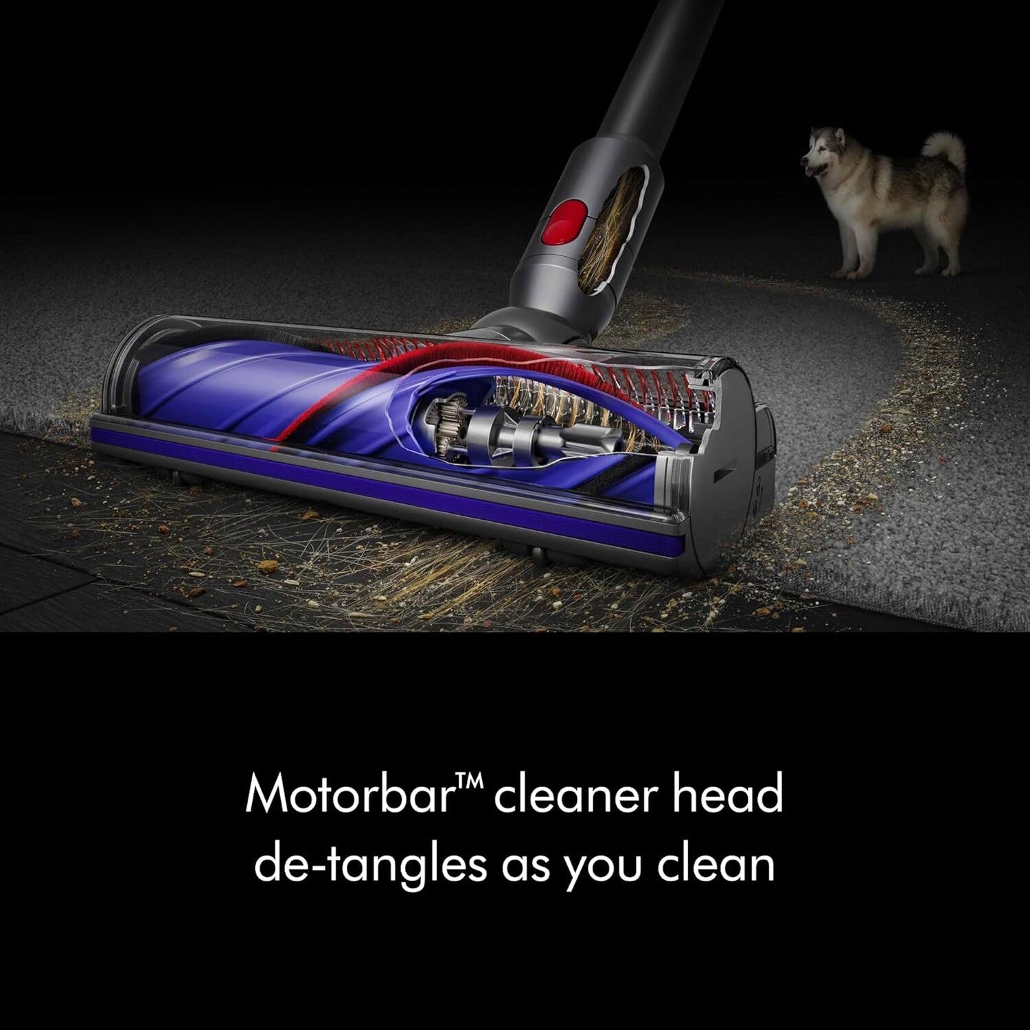 Dyson V8 Plus Cordless Vacuum Cleaner - SV25
