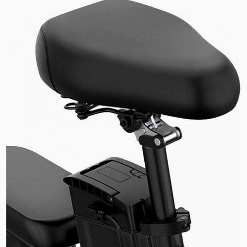 Folding Electric Bike 250W, 14 Inch, LCD Display, Removable Battery, Dual Disc Brake, Black