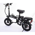 Folding Electric Bike 250W, 14 Inch, LCD Display, Removable Battery, Dual Disc Brake, Black