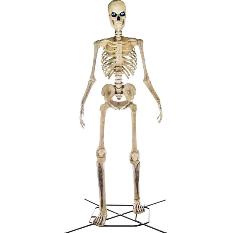 Home Accents Giant Skeleton With LifeEyes, 12 ft, 95 lbs - Halloween Decoration