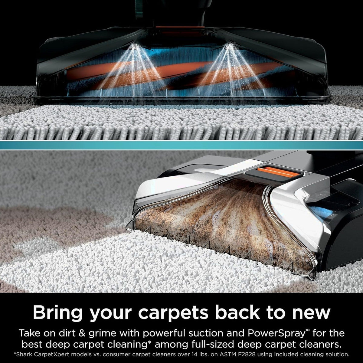 Shark CarpetXpert Carpet Cleaner, Cyan - EX201